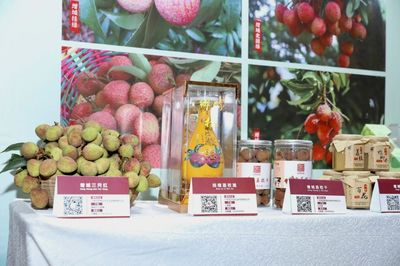 廣州荔枝采摘上市,今年將有巨美人、無核、嶺豐糯等新品種