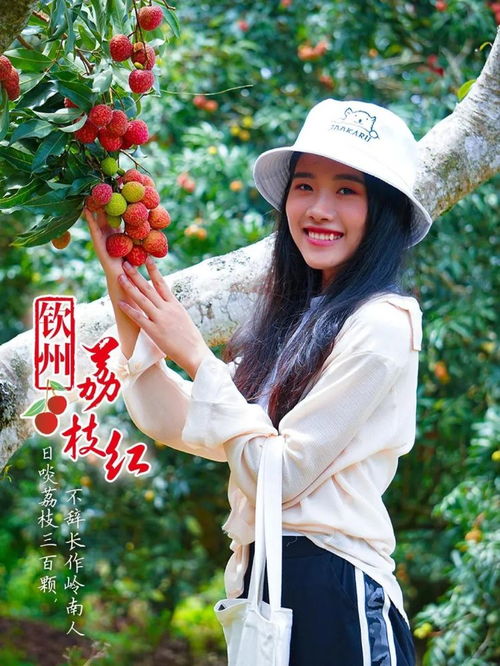 快收藏 端午節荔枝游精品旅游線路來啦