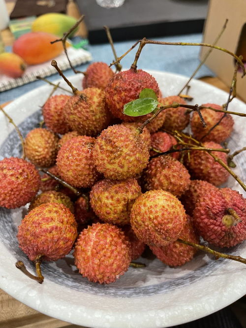 農(nóng)科生活振興鄉(xiāng)村優(yōu)品云展系列之廣西玉林桂味荔枝